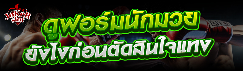 ดูฟอร์มนักมวยยังไงก่อนตัดสินใจแทง